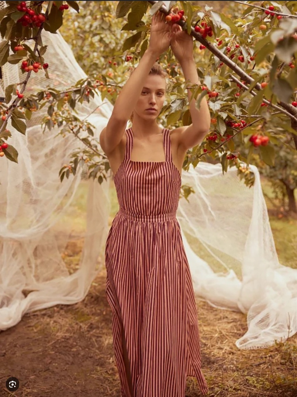 Bird & knoll stripe maxi dress